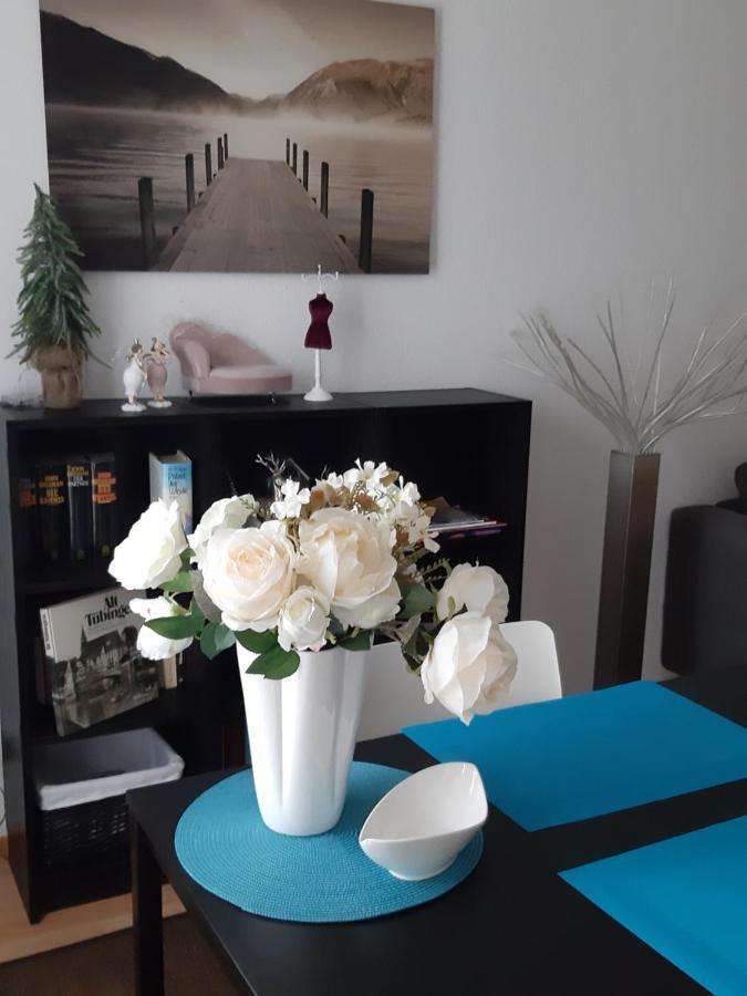 City Apartment Tuebingen-Lustnau 外观 照片