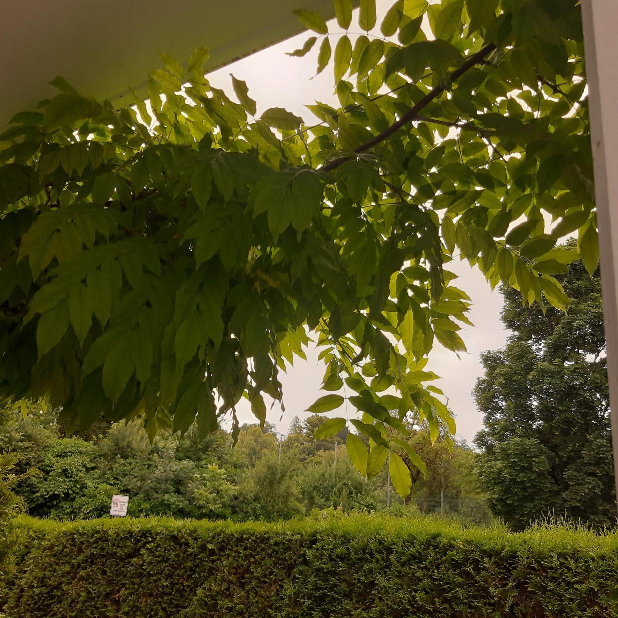 City Apartment Tuebingen-Lustnau 外观 照片